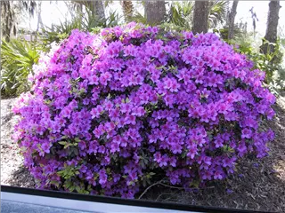 small_172-7219_IMG_2 (5).webp